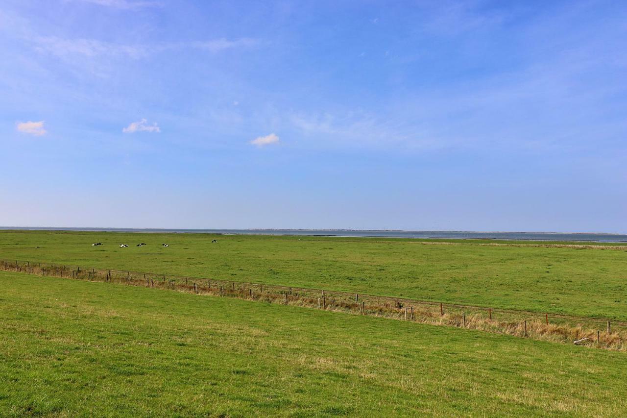 Ferienwohnungen "Zur Friesen Freude" - Nur Fuer Feriengaeste Dornum Exterior photo